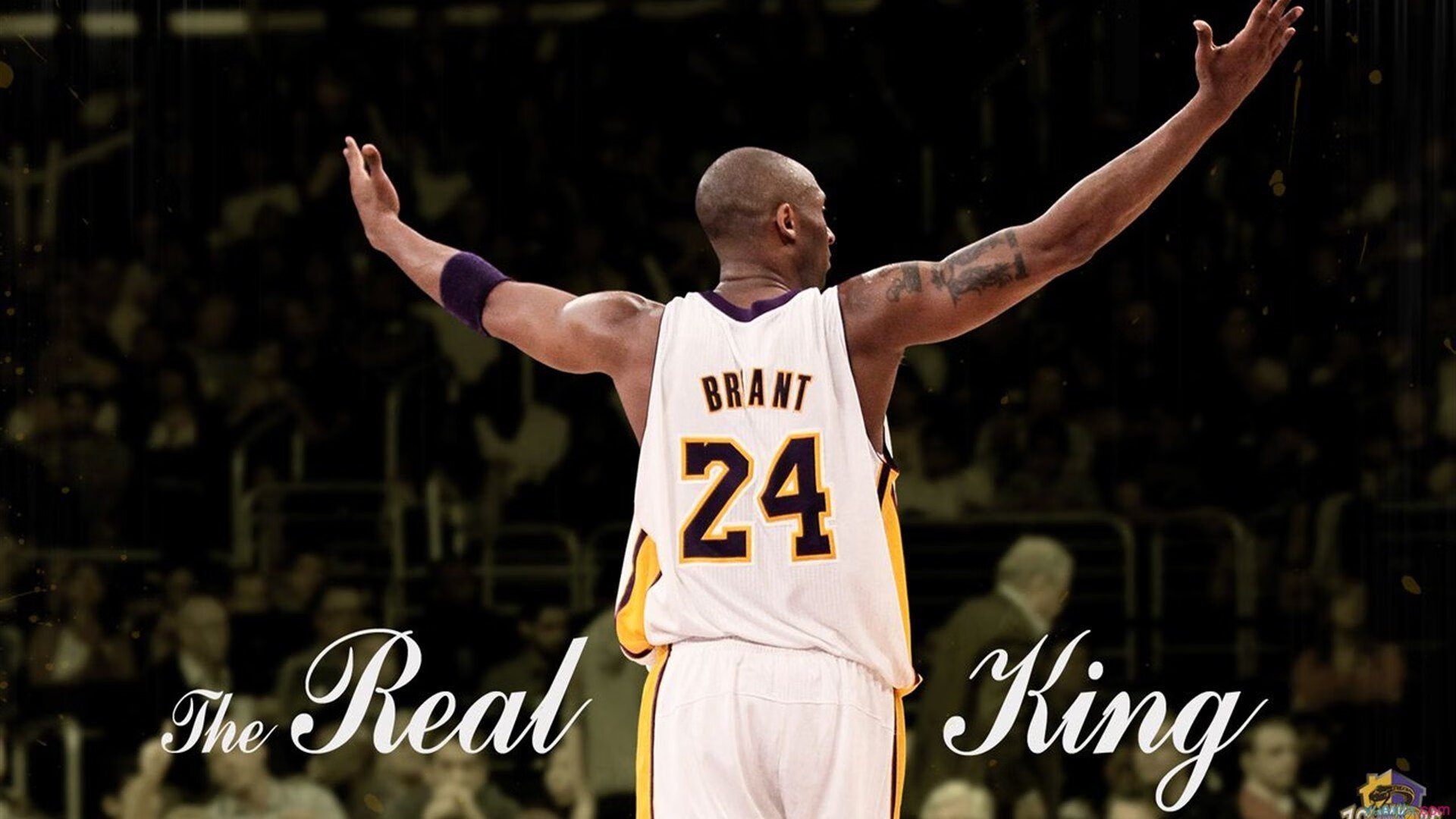 世界青少年搏击锦标赛中国群英尽展风采，青少年搏击公开赛