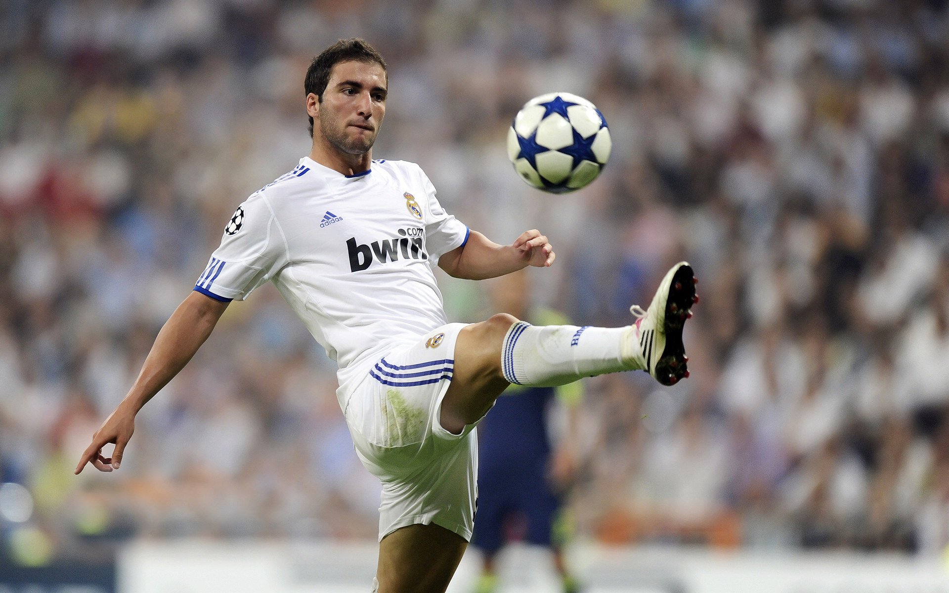 世俱杯“淘汰赛大揭秘”：黑马球队继续前行的秘密